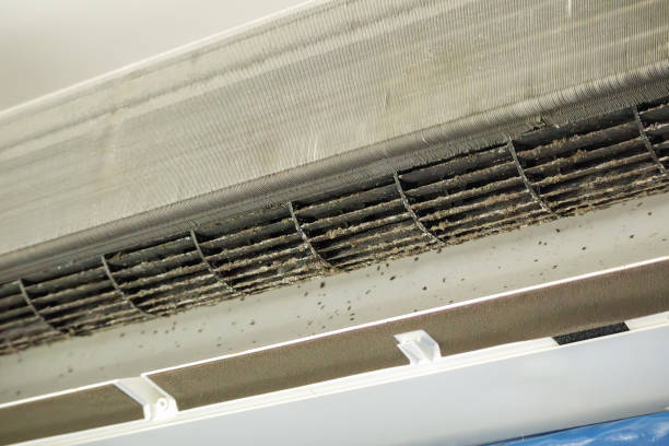 Home Air Vent Cleaning in Leadington, MO