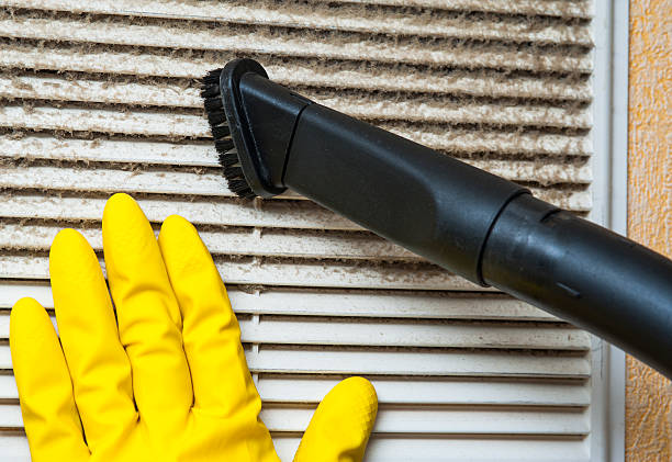 Best HVAC System Cleaning  in Leadington, MO